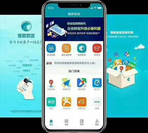 鹰眼智客App 837e 引领互联网信息服务的创新力量